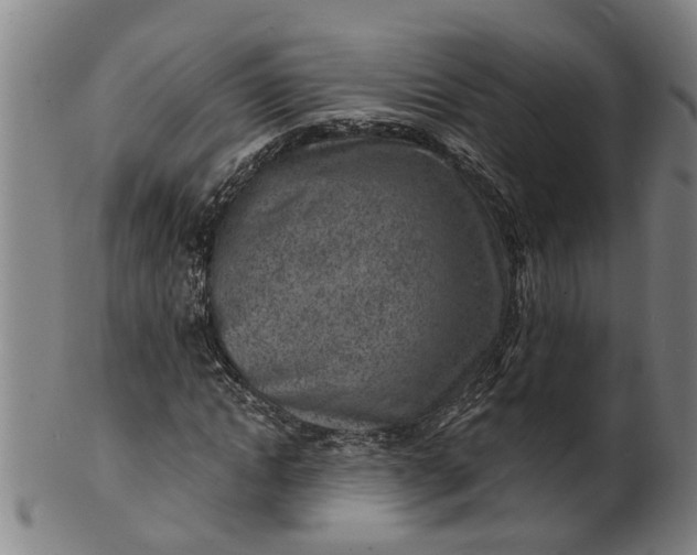 X0000101650822200807241353