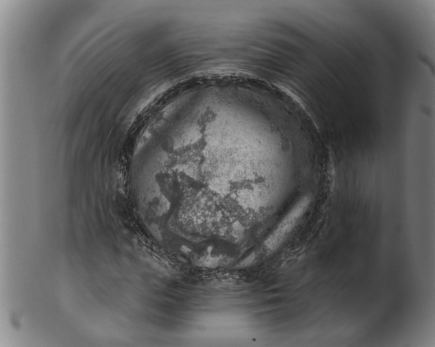 X0000101650823200807241353