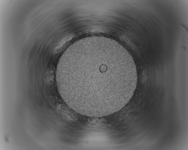 X0000101650824200807241353