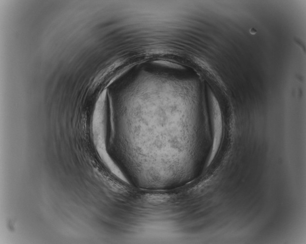 X0000101650825200807241353