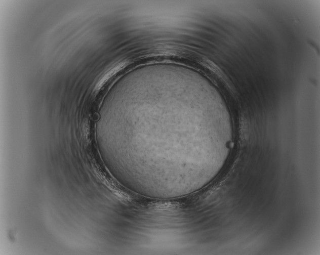 X0000101650826200807241353