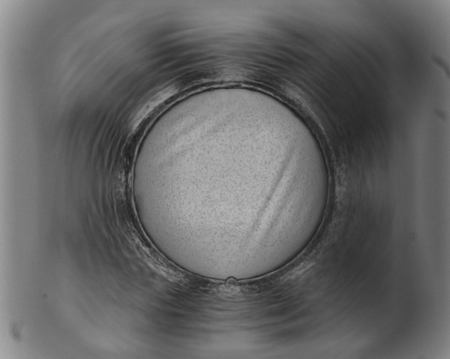 X0000101650827200807241353