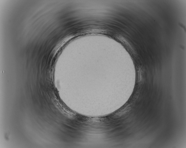 X0000101650828200807241353