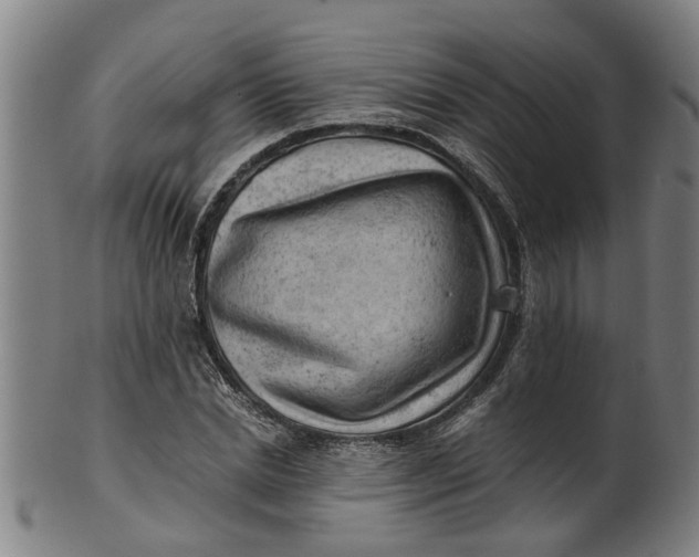 X0000101650830200807241353