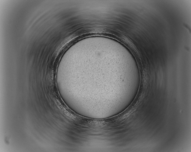 X0000101650831200807241353