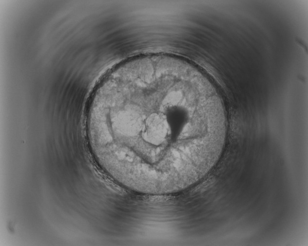 X0000101650832200807241353