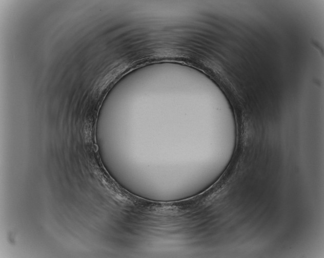 X0000101650833200807241353