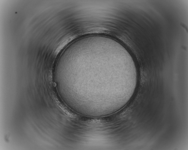 X0000101650834200807241353