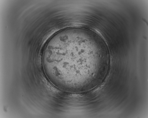 X0000101650835200807241353