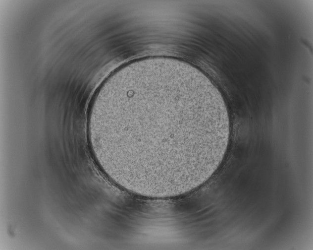 X0000101650836200807241353