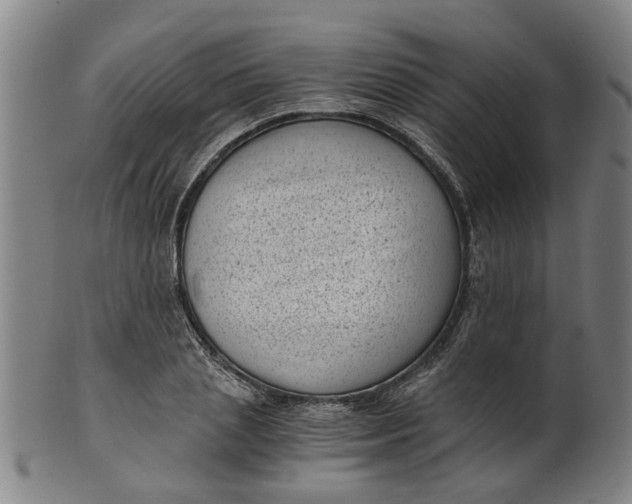 X0000101650837200807241353