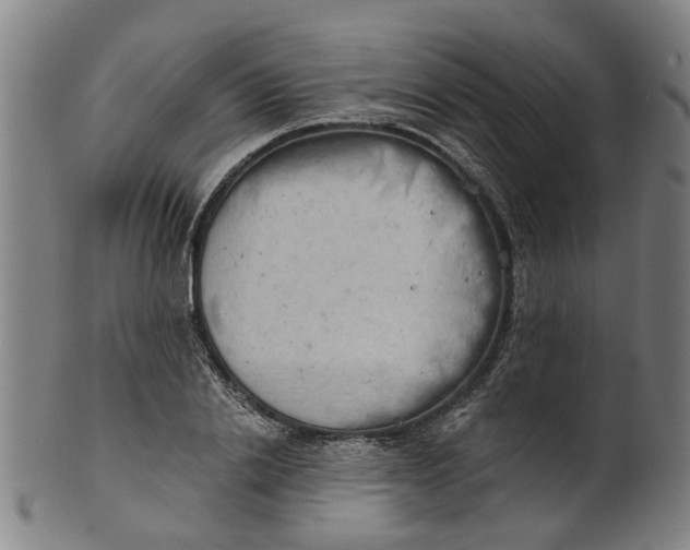 X0000101650838200807241353