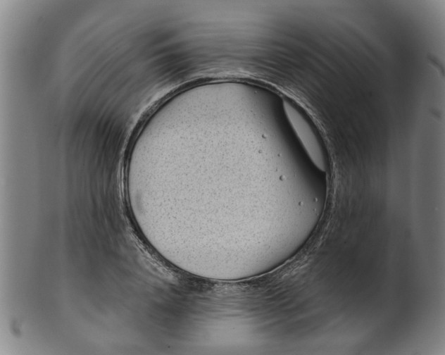 X0000101650840200807241353