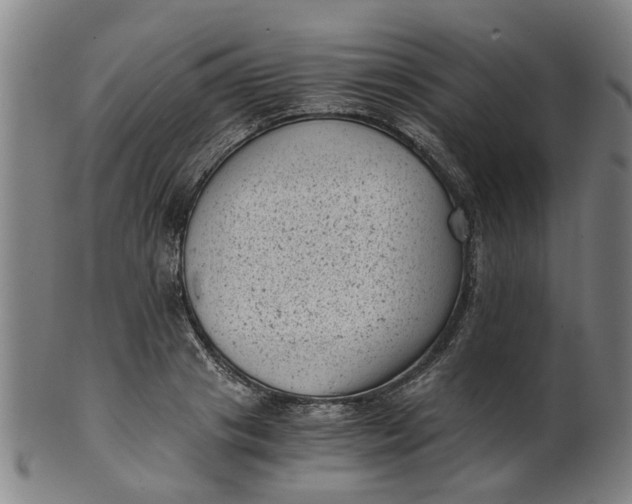 X0000101650841200807241353