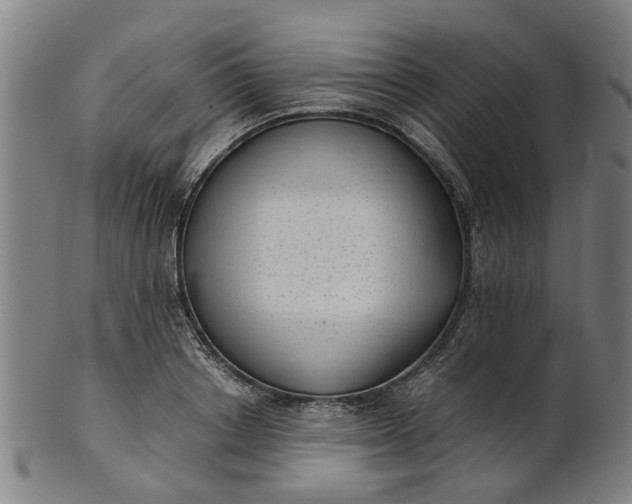 X0000101650842200807241353