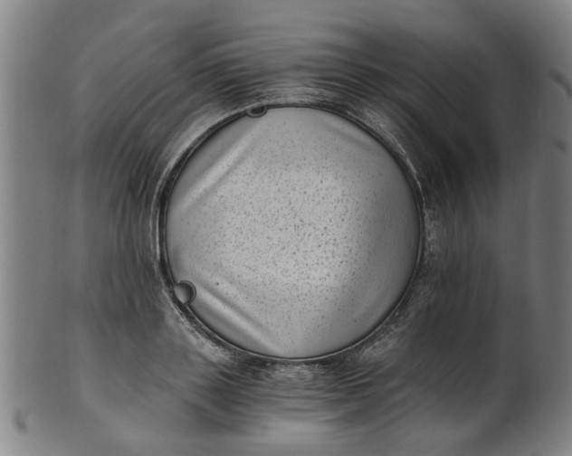 X0000101650843200807241353