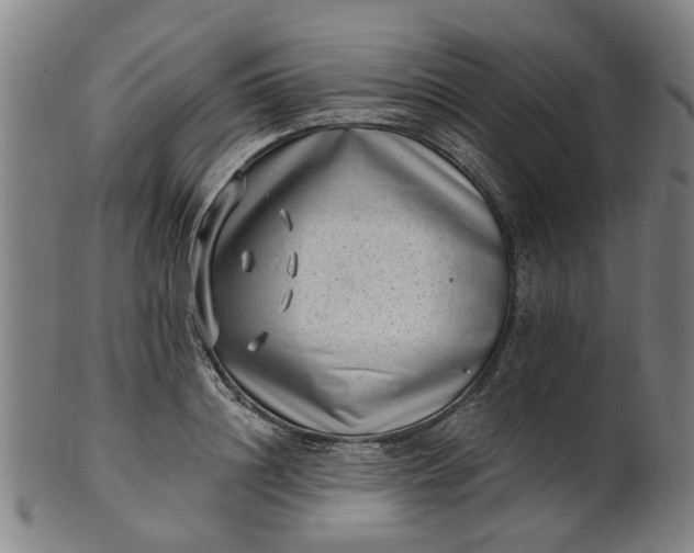 X0000101650844200807241353