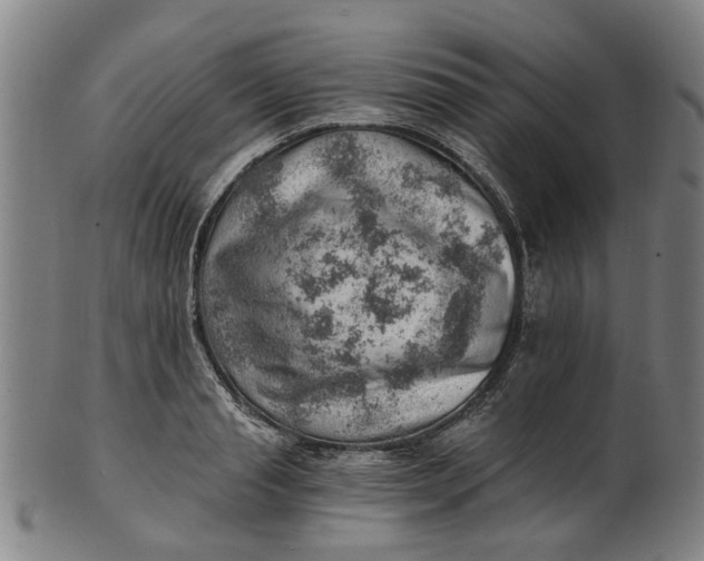 X0000101650845200807241353