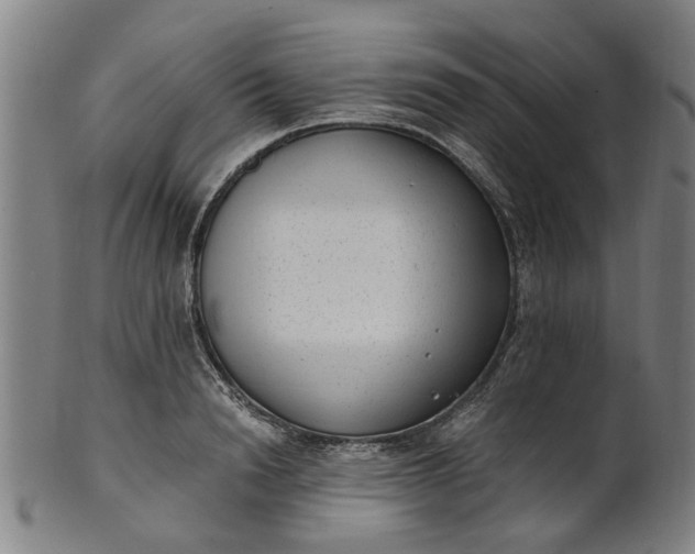 X0000101650846200807241353