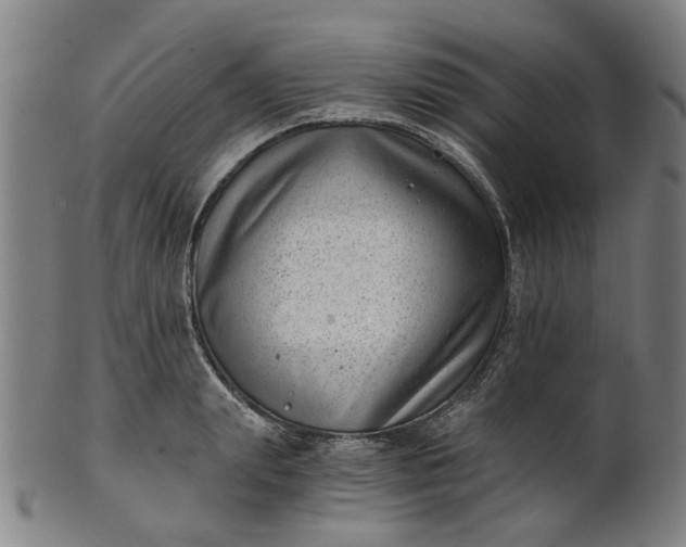 X0000101650847200807241353