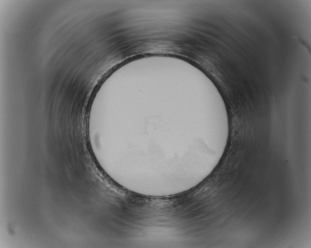 X0000101650848200807241353