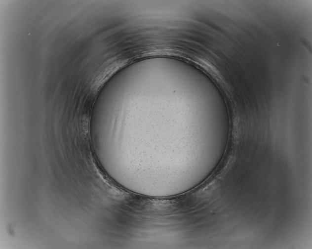 X0000101650849200807241353