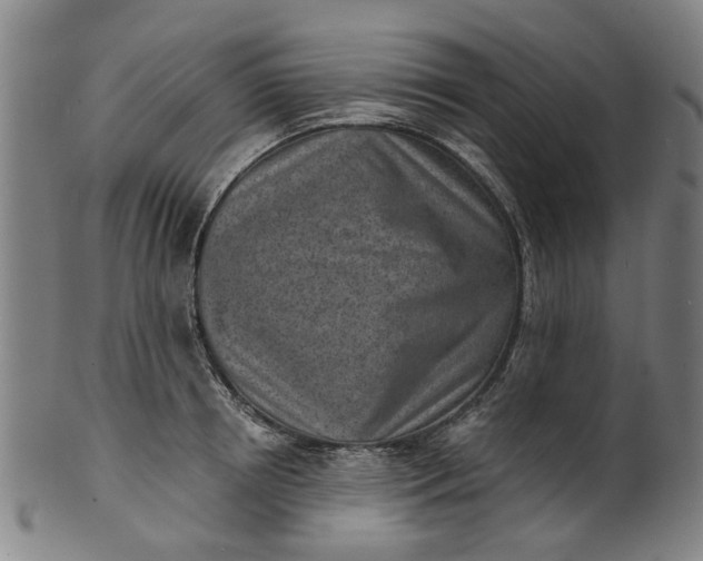 X0000101650850200807241353