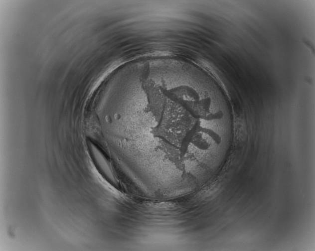 X0000101650851200807241353