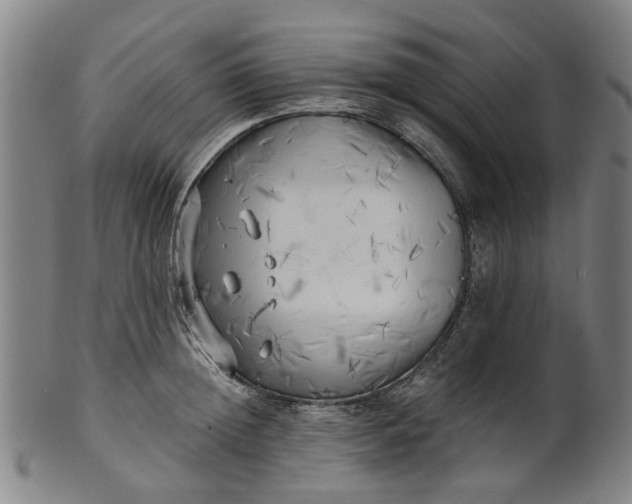 X0000101650852200807241353