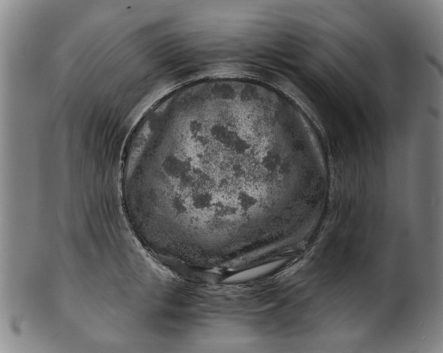 X0000101650853200807241353