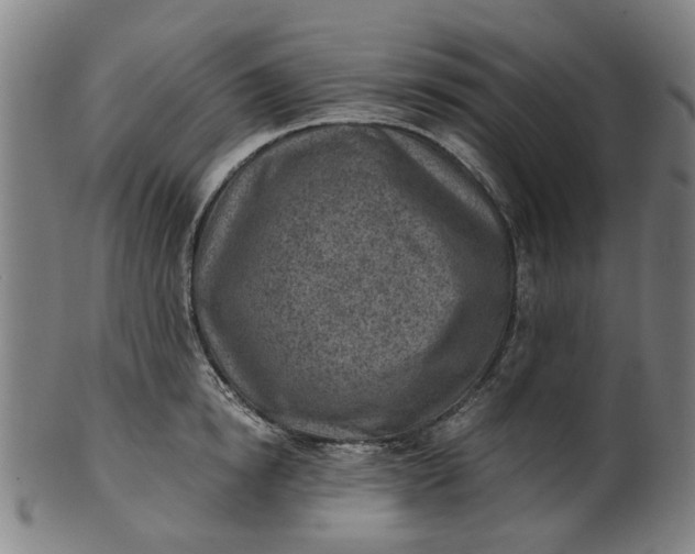 X0000101650854200807241353