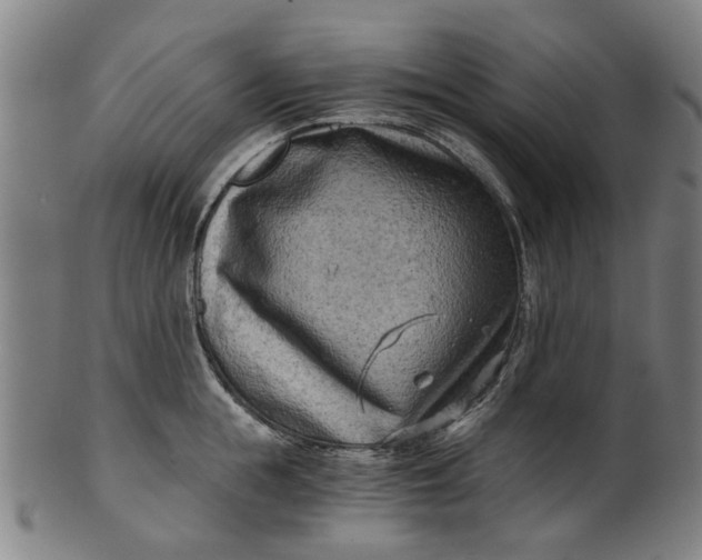 X0000101650855200807241353