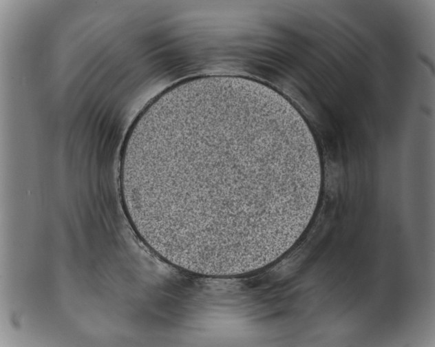 X0000101650856200807241353