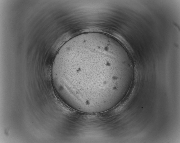 X0000101650857200807241353