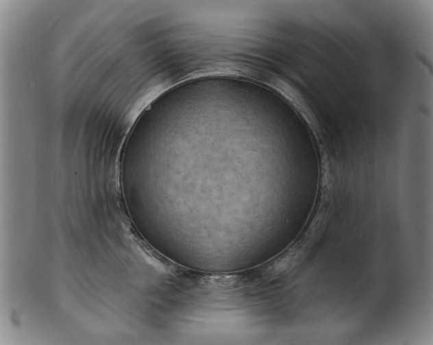 X0000101650858200807241353