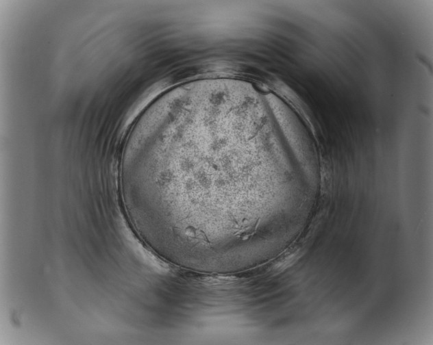 X0000101650859200807241353