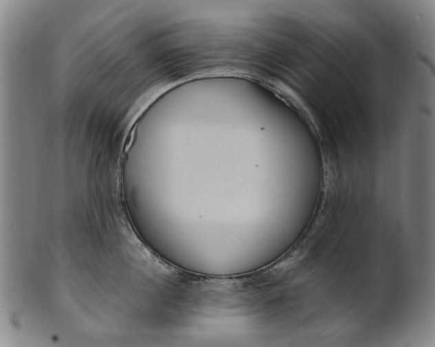 X0000101650860200807241353