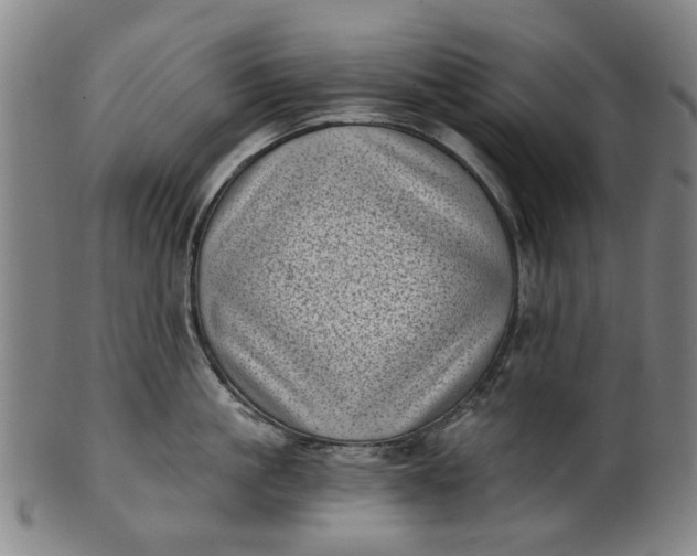 X0000101650861200807241353