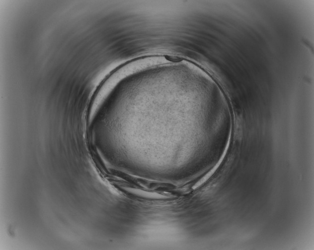 X0000101650862200807241353