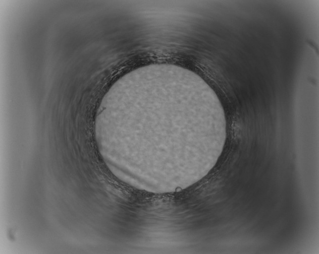 X0000101650865200807241353