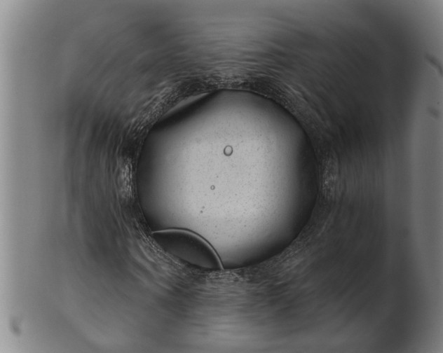 X0000101650866200807241353