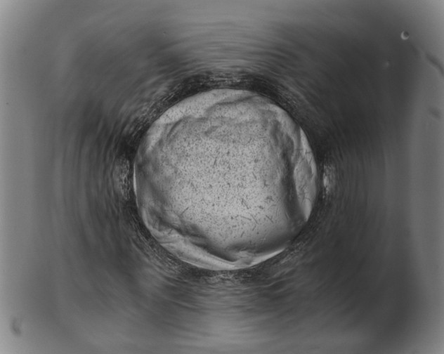 X0000101650867200807241353