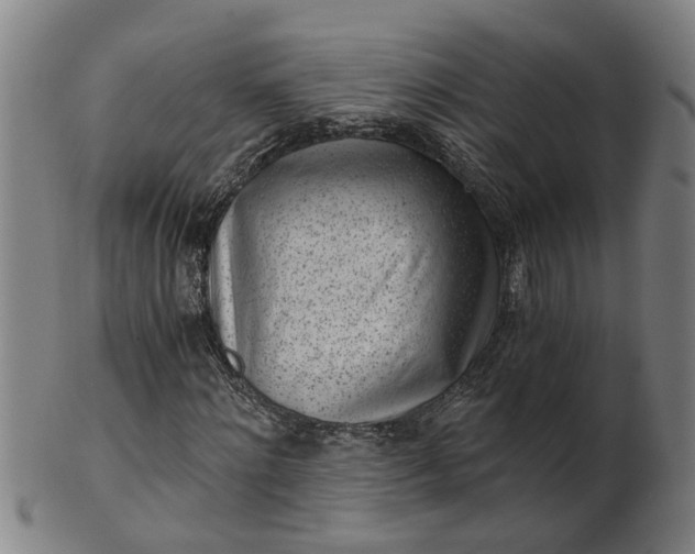 X0000101650868200807241353