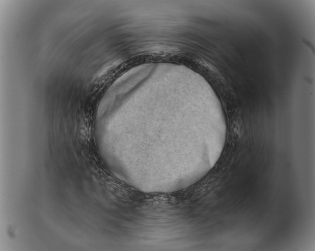 X0000101650869200807241353