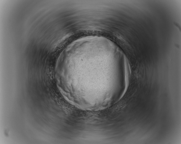 X0000101650870200807241353