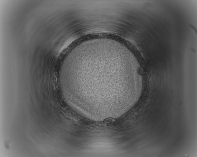 X0000101650871200807241353