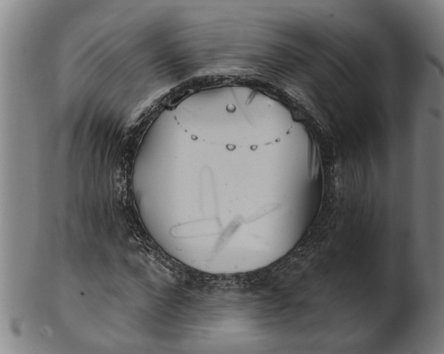 X0000101650872200807241353