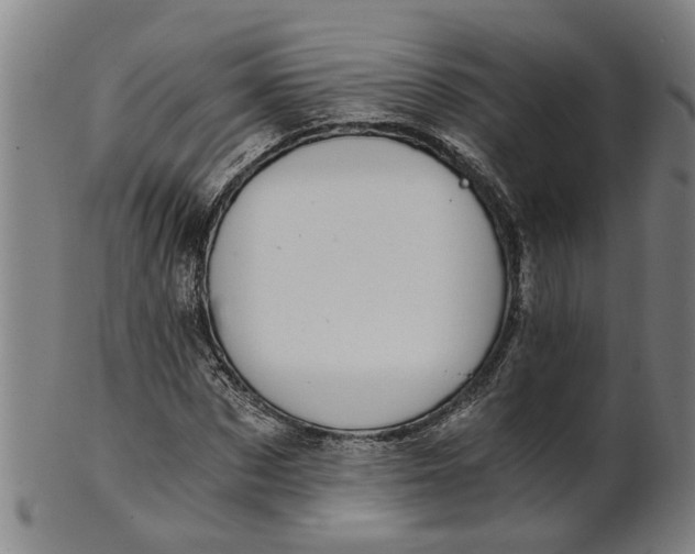 X0000101650873200807241353