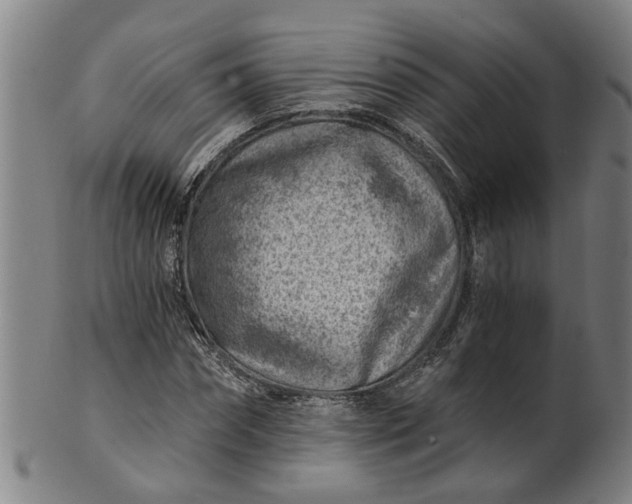 X0000101650874200807241352