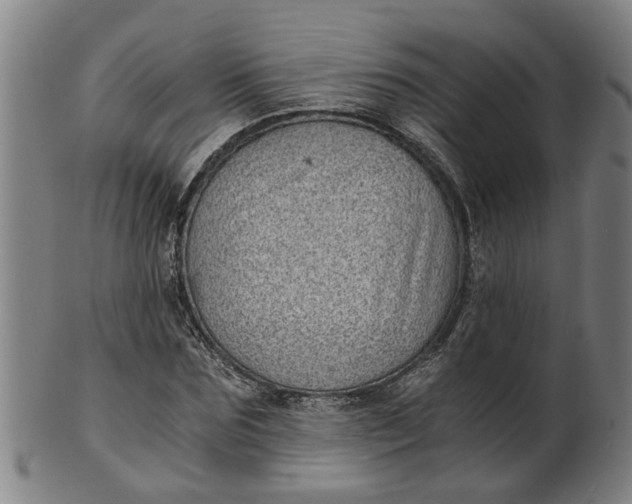 X0000101650875200807241352